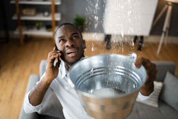 Best Mold removal after water damage  in Anna, TX