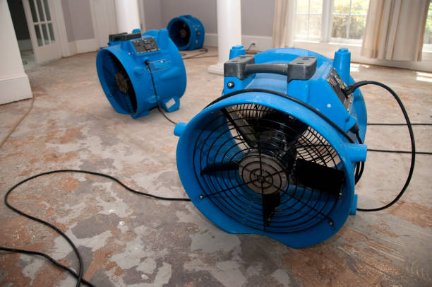 Best 24/7 water damage repair  in Anna, TX