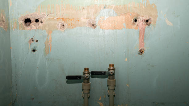 Best Local water damage restoration  in Anna, TX