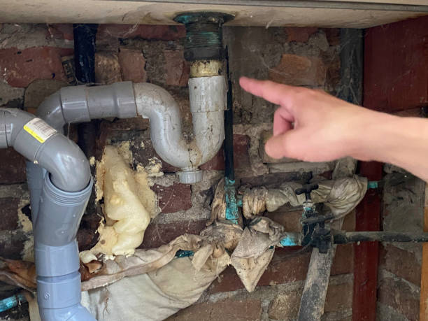 Best Water damage cleanup near me  in Anna, TX